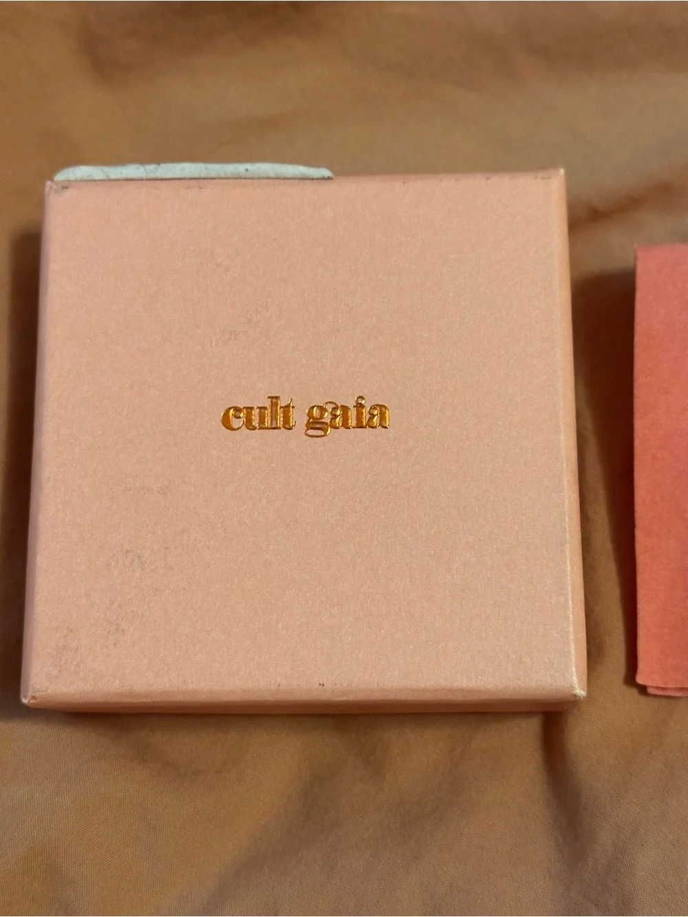 Cult Gaia Mira Earrings in Ruby Resin Hoops